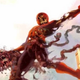 Illustration for article titled After Aliens, Marvel Comics To Be Invaded By Zombies From Another Dimension